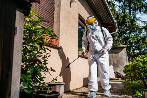 Insect Control in Highland Lakes, NJ