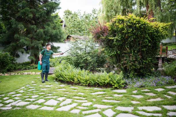 Best Best Pest Control Companies  in Highland Lakes, NJ