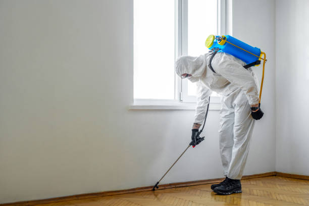 Best Pest Control Treatment  in Highland Lakes, NJ