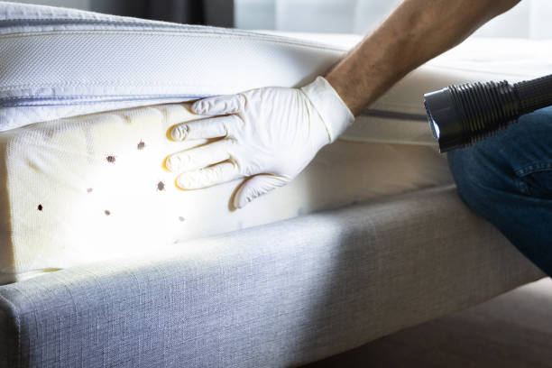 Best Pest Prevention Services  in Highland Lakes, NJ