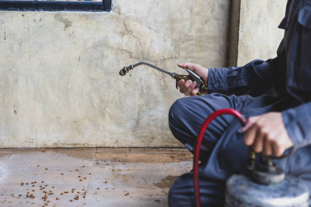 Best Affordable Pest Control Services  in Highland Lakes, NJ